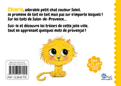 Césario sur les toits de Salon-de-Provence