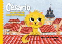 Césario sur les toits de Salon-de-Provence