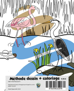Apprendre à dessiner les oiseaux