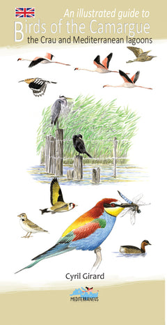 An illustrated guide to birds of the Camargue and Mediterranean lagoons
