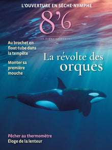 La révolte des orques