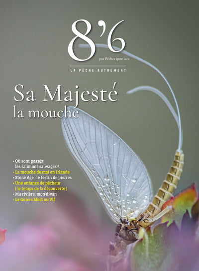8'6 par Pêches sportives - Sa Majesté la Mouche