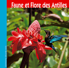FAUNE et FLORE des ANTILLES