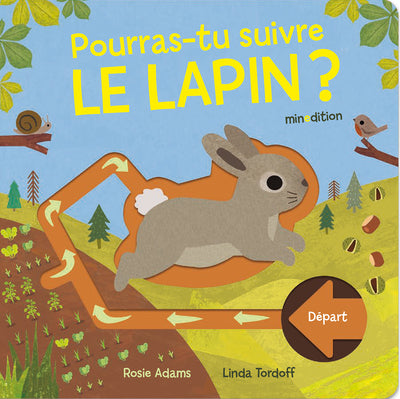Pourras tu suivre le lapin ?