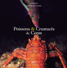 Poissons et crustacés de Corse