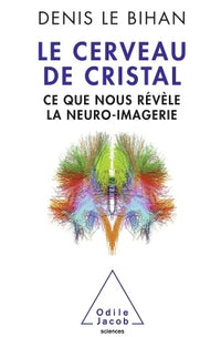 Le Cerveau de cristal