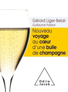 Nouveau voyage au coeur d'une bulle de champagne