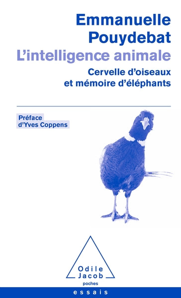 L'intelligence animale
