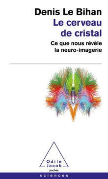 Le cerveau de cristal