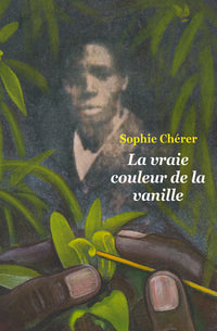 Vraie couleur de la vanille
