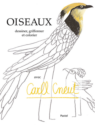 Oiseaux