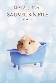 Sauveur & Fils Saison 1