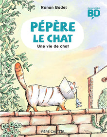 Une vie de chat