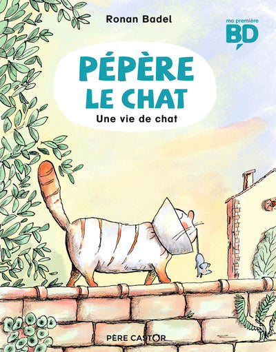 Une vie de chat