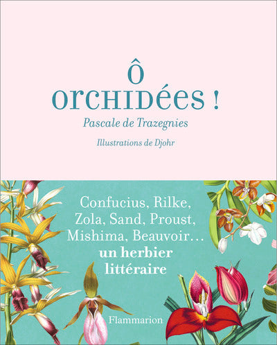 Ô orchidées !