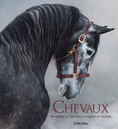 CHEVAUX - ?Hommage à la plus belle conquête de l'Homme