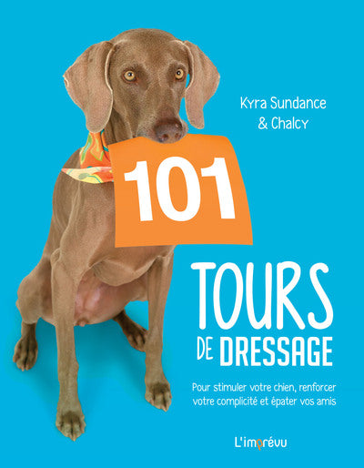 101 tours de dressage