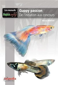Le guppy passion de l'achat aux concours