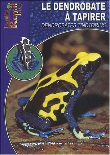 Le dendrobate à tapirer - Dendrobates tinctorius