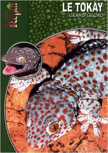 Le Tokay: Gekko Gecko