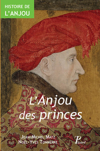 Histoire de l'Anjou. T. 2 : l'Anjou des Princes
