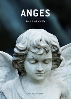 Anges - Agenda 2025