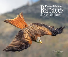 Rapaces