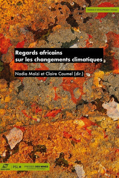 Regards africains sur les changements climatiques