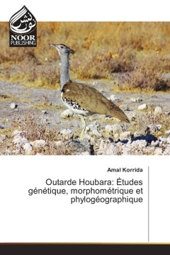 Outarde Houbara