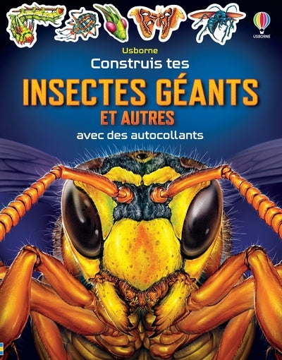 Construis tes insectes géants et autres avec des autocollants