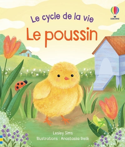 Le poussin - Le cycle de la vie