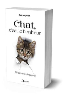 Chat, c'est le bonheur