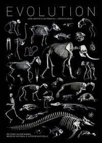 Evolution