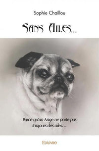 Sans Ailes...