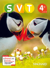 SVT 4e