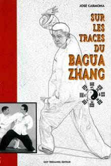 Sur les traces du bagua zhang