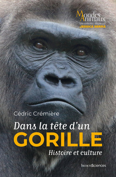 Dans la tête d'un gorille