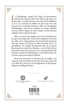 La Vie méconnue des temples mésopotamiens