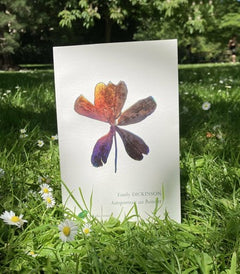 Autoportrait au Roitelet