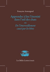 Apprendre à lire l'éternité dans l'œil des chats