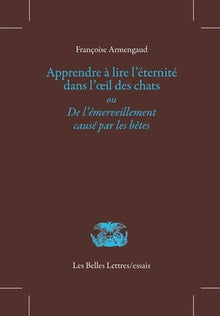 Apprendre à lire l'éternité dans l'œil des chats