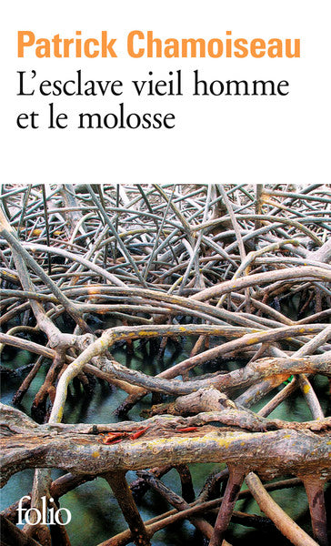 L'esclave vieil homme et le molosse