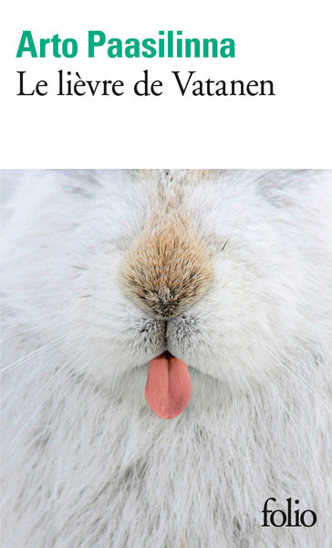 le lièvre de vatanen
