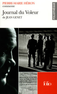 Journal du voleur