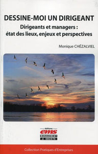 Dessine-moi un dirigeant