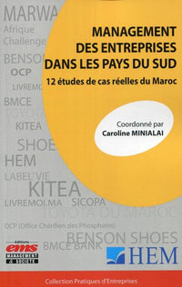 Management des entreprises dans les pays du sud