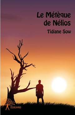 Le Métèque de Nélios