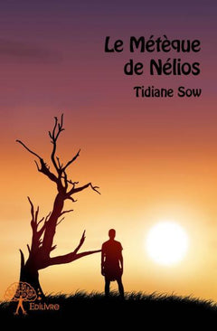 Le Métèque de Nélios