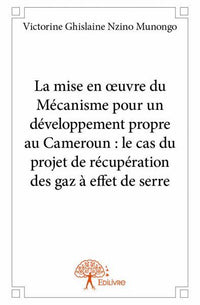 La mise en oeuvre du Mécanisme pour un développement propre au Cameroun