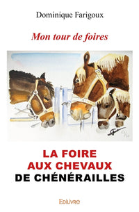 Mon tour de foires